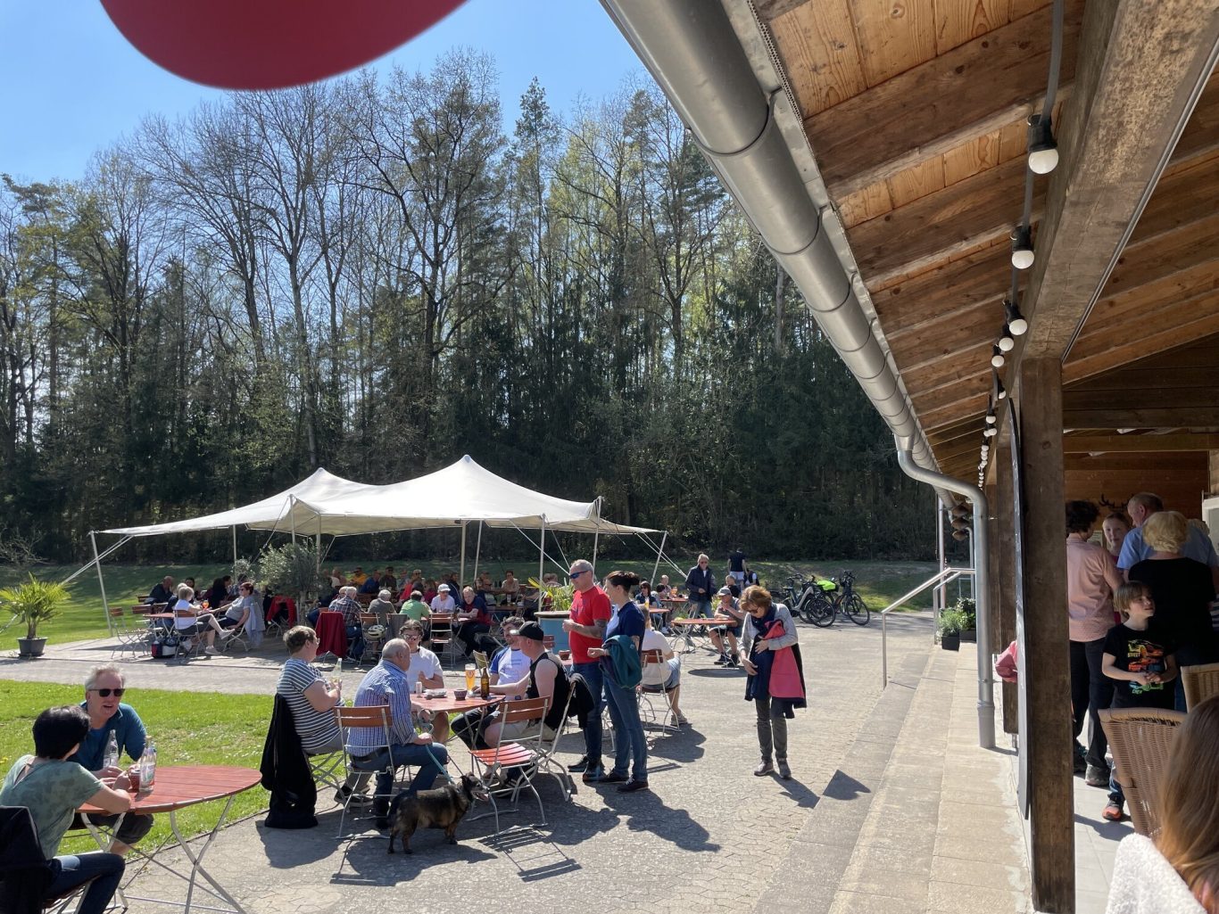 1. Mai am Krummweiher Menschen sitzen und stehen unter einem Zeltdach in einer sonnigen, grünen Umgebung.